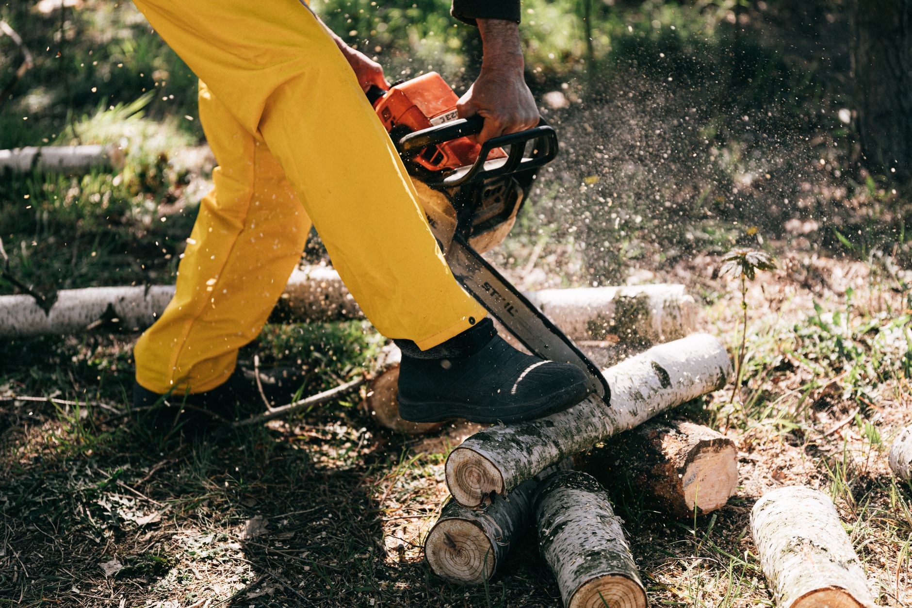 Tree Removal – Boerne