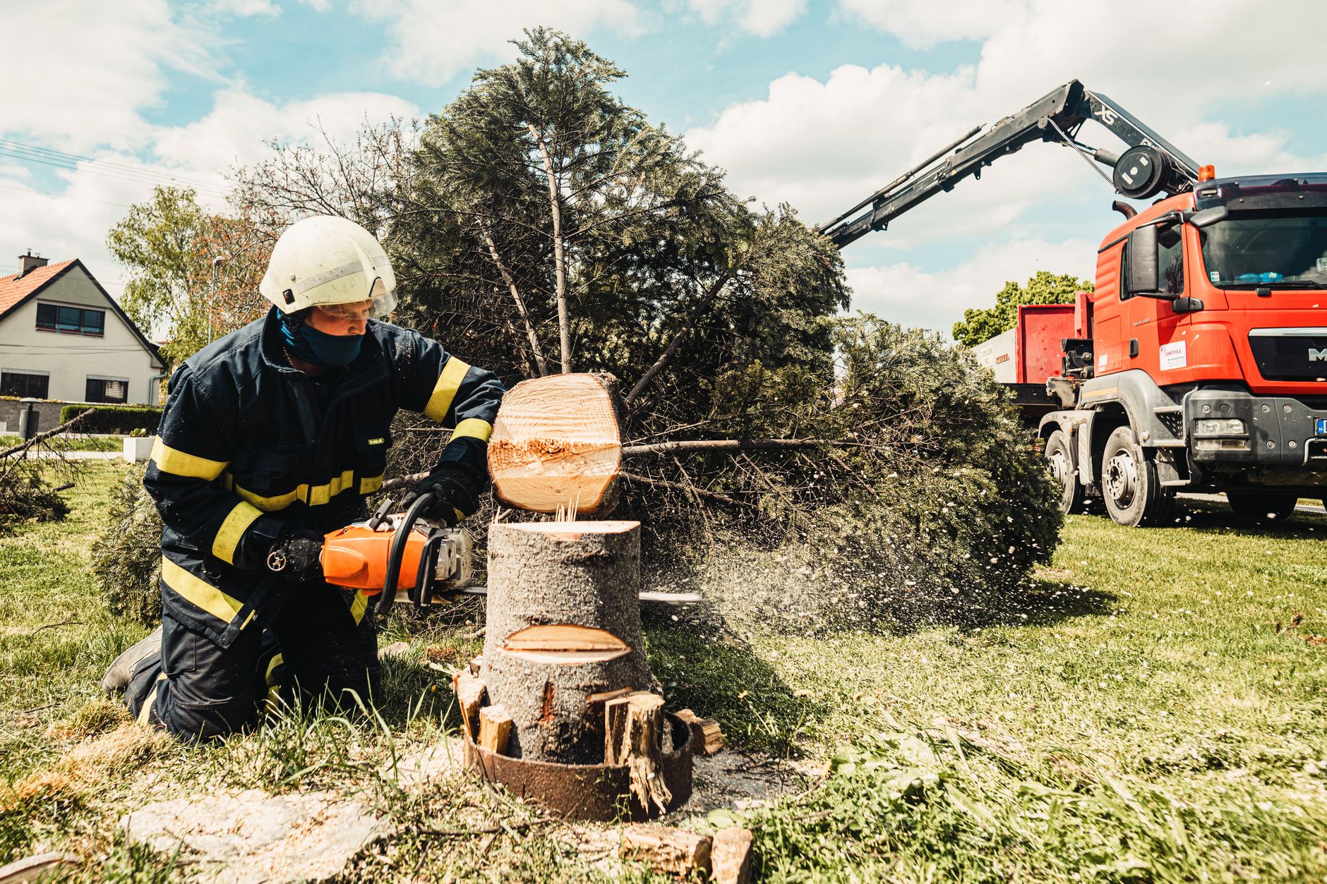 Stump Grinding – Boerne